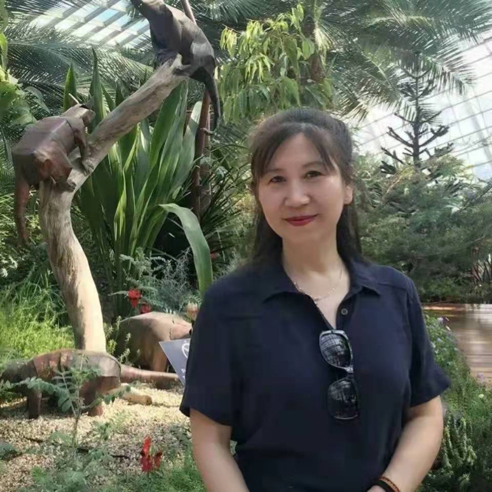 刘凤云